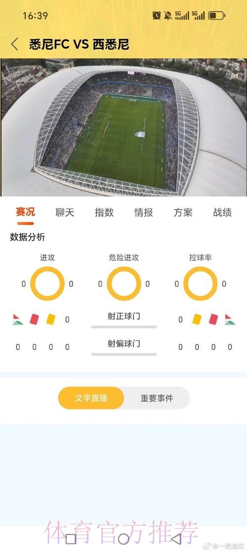 世界杯比分平台全站实时赛事更新助手